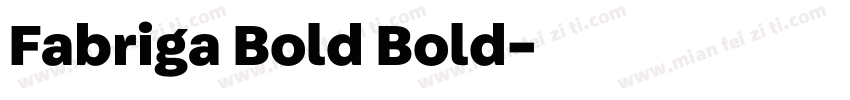 Fabriga Bold Bold字体转换
